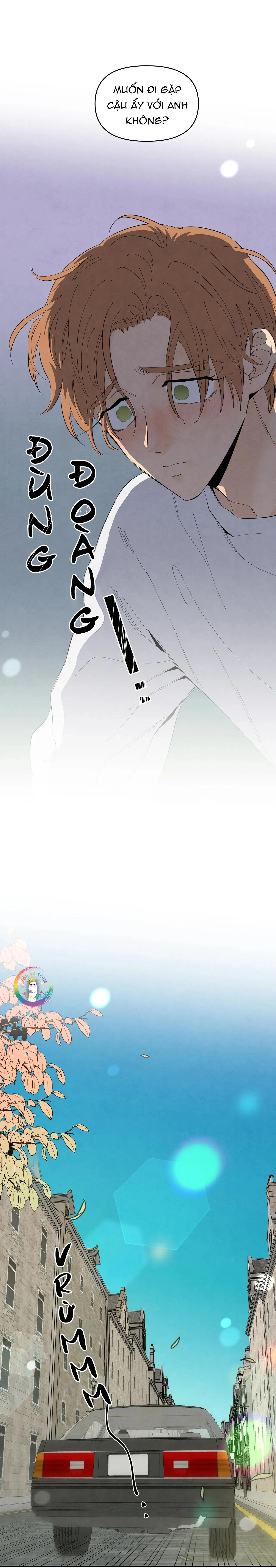 Bona Sort (END) Chapter 75 Trang 5