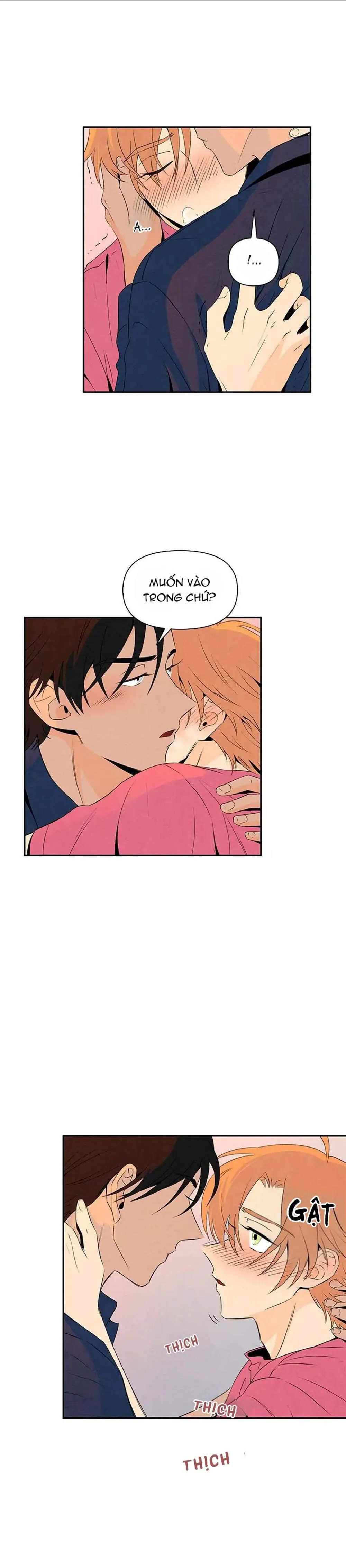 Bona Sort (END) Chapter 9 Trang 17