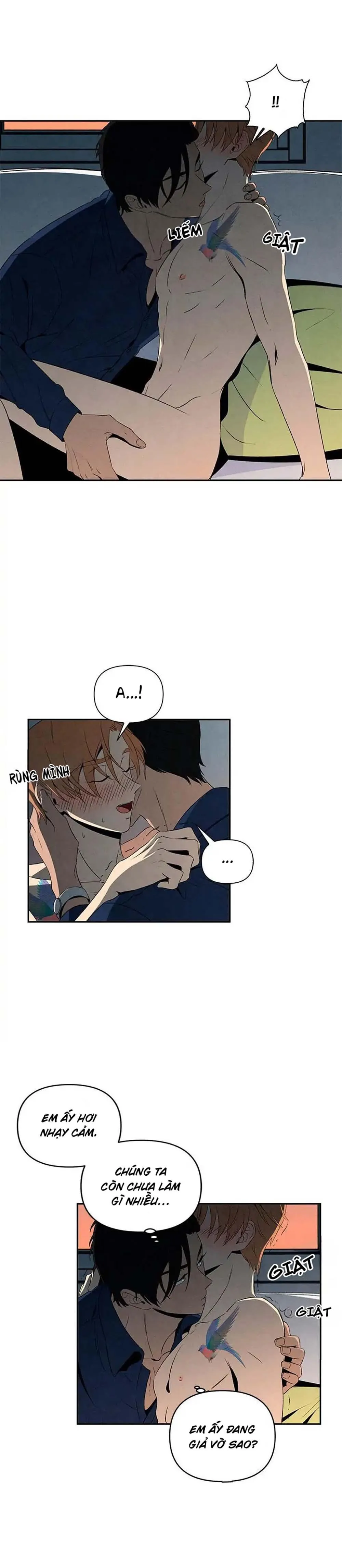 Bona Sort (END) Chapter 9 Trang 23