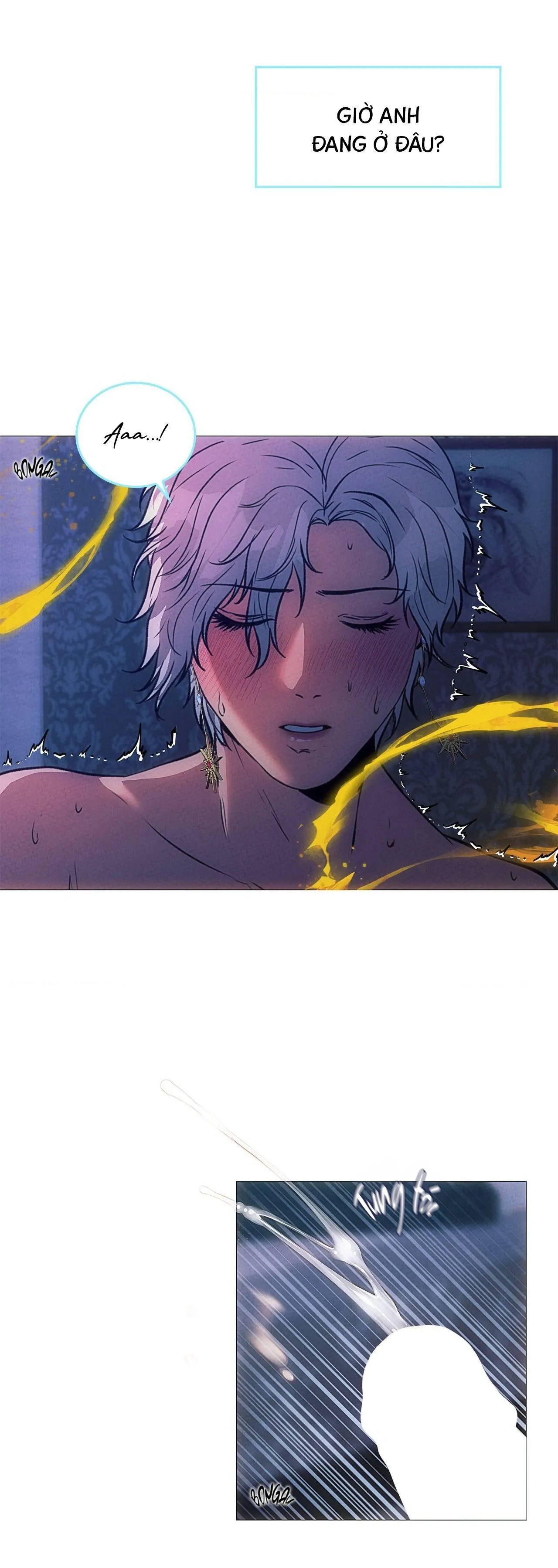 Bóng ma của nhà hát Opera Chapter 1 Trang 21