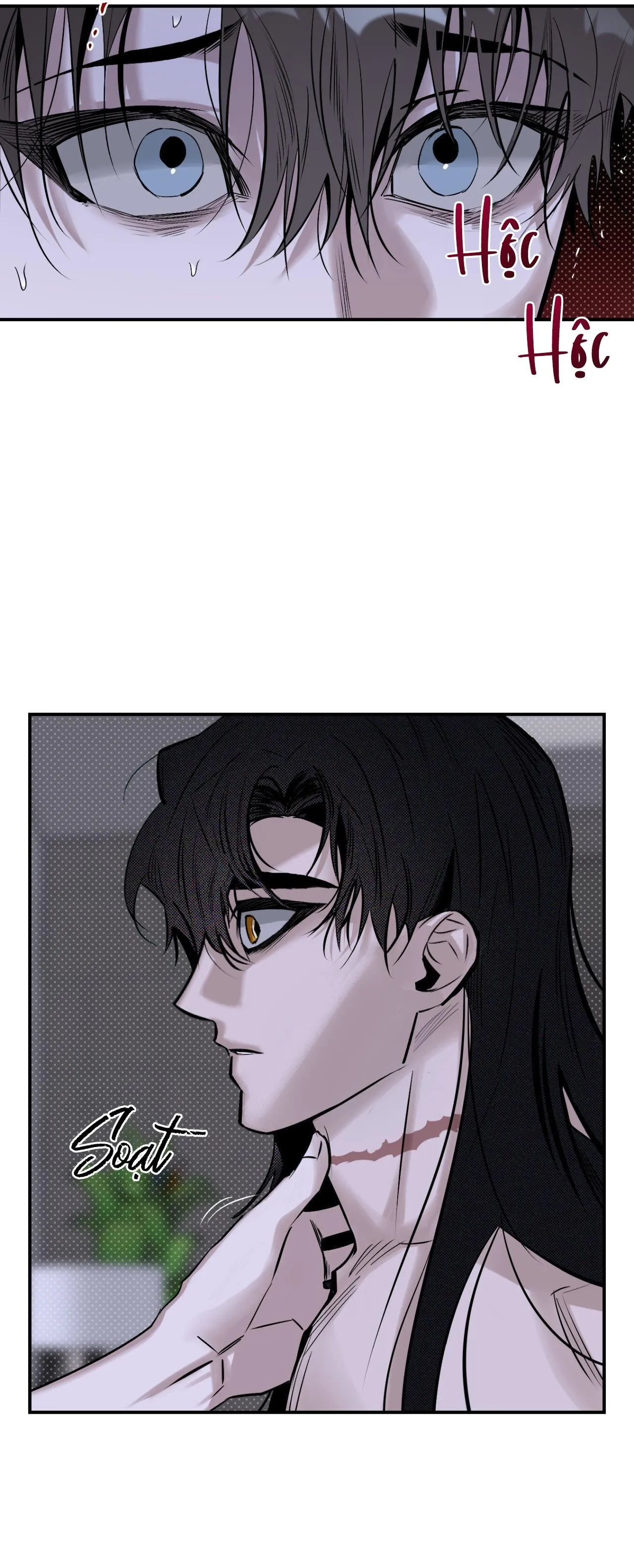 BÓNG RẮN DƯỚI ÁNH TRĂNG Chapter 10 Trang 11