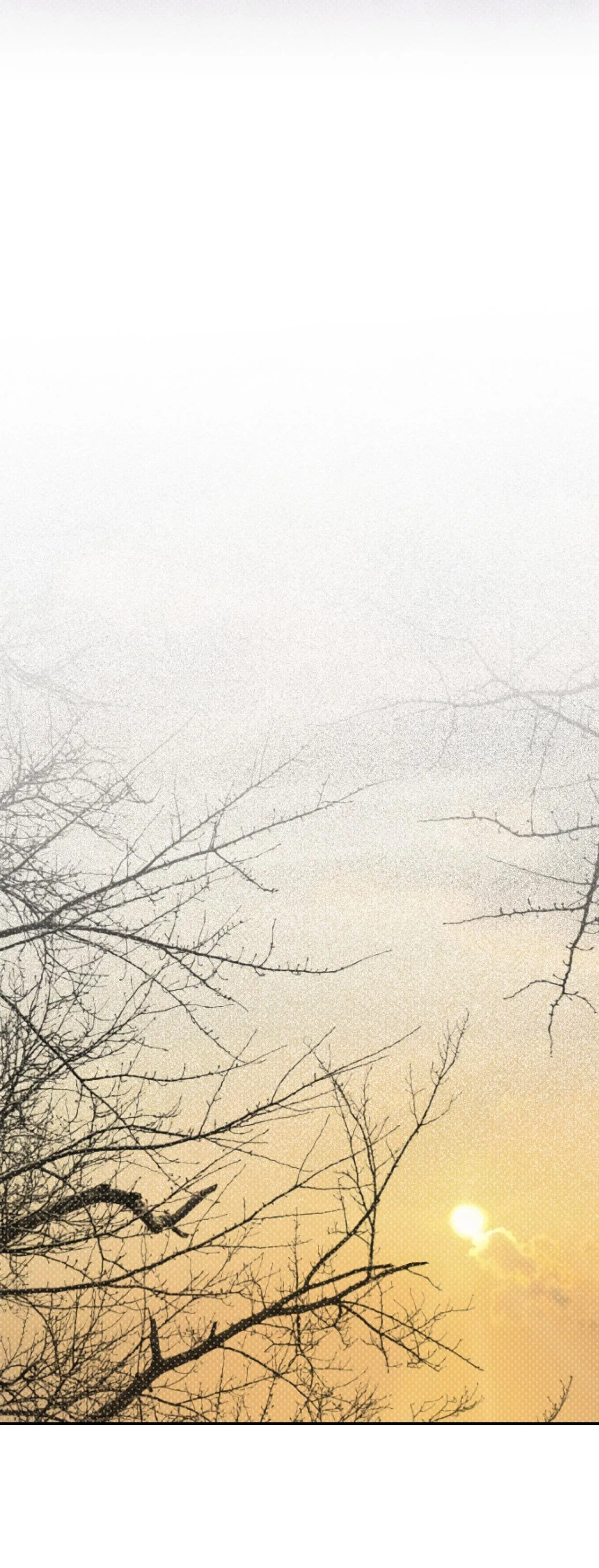 BÓNG RẮN DƯỚI ÁNH TRĂNG Chapter 10 Trang 41