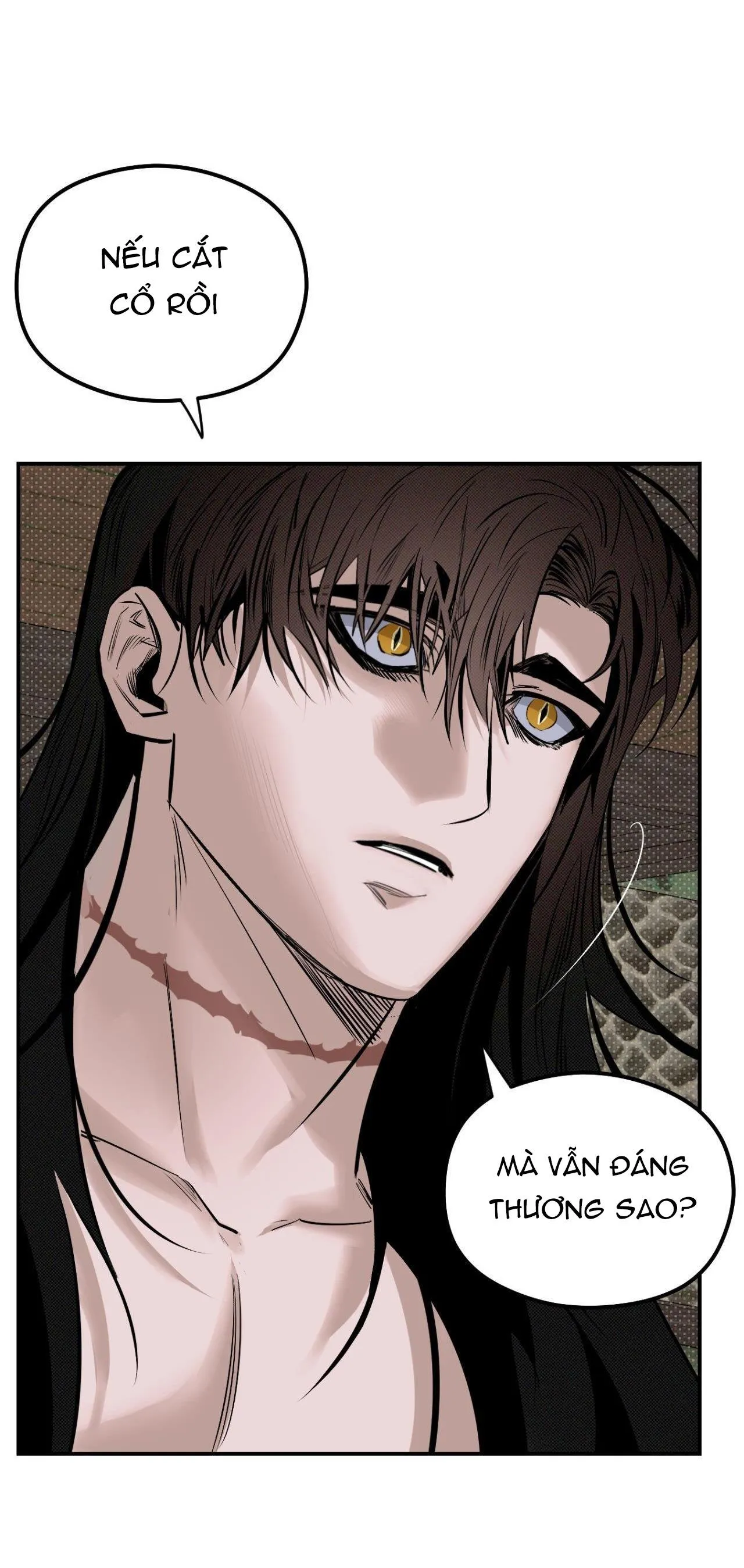 BÓNG RẮN DƯỚI ÁNH TRĂNG Chapter 10 Trang 45