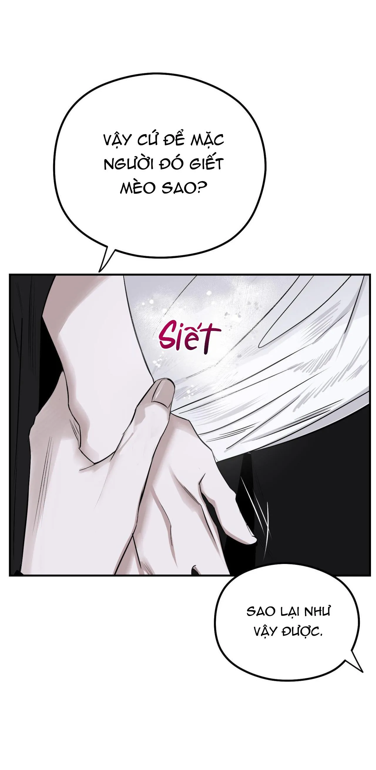 BÓNG RẮN DƯỚI ÁNH TRĂNG Chapter 11 Trang 11