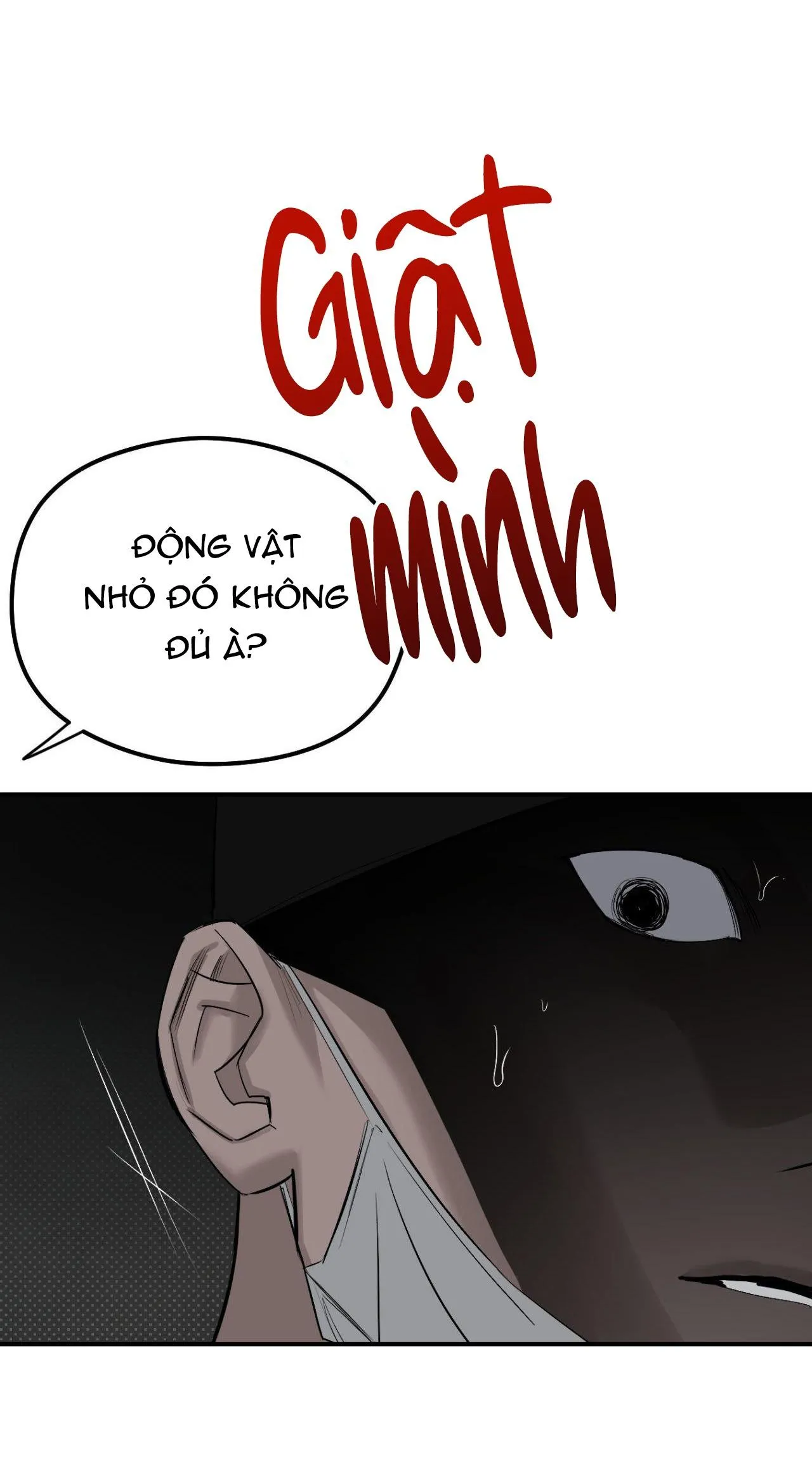 BÓNG RẮN DƯỚI ÁNH TRĂNG Chapter 11 Trang 34