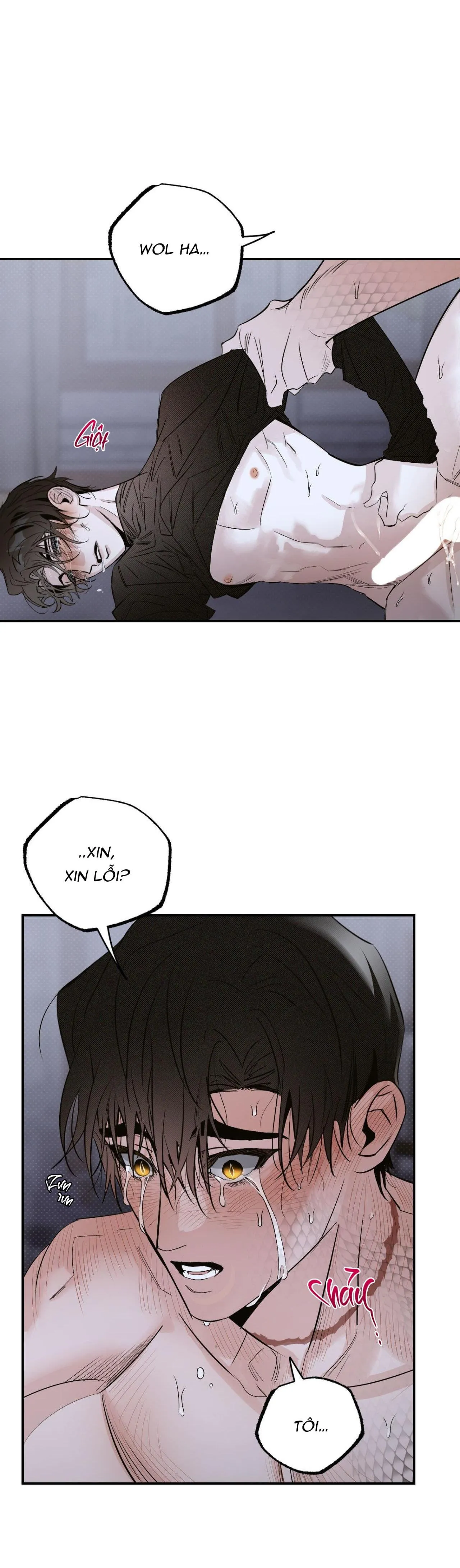 BÓNG RẮN DƯỚI ÁNH TRĂNG Chapter 14 Trang 31