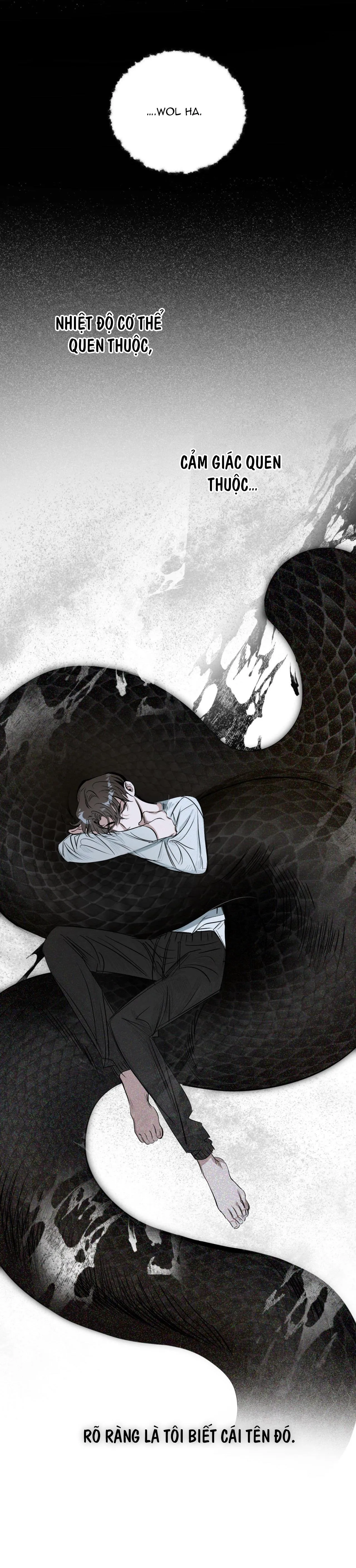 BÓNG RẮN DƯỚI ÁNH TRĂNG Chapter 4 Trang 4