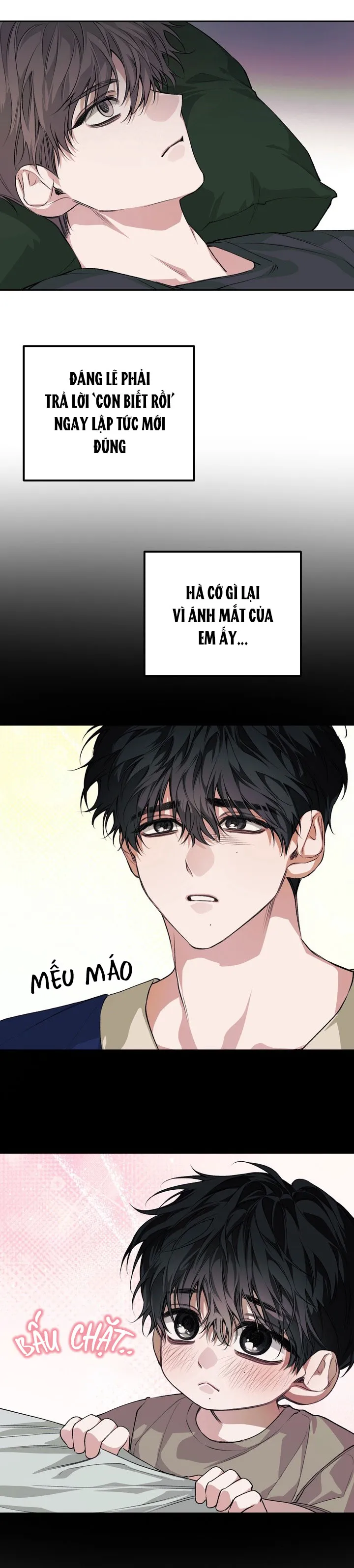 BÓNG TỐI CỦA GIA ĐÌNH Chapter 11 Trang 13