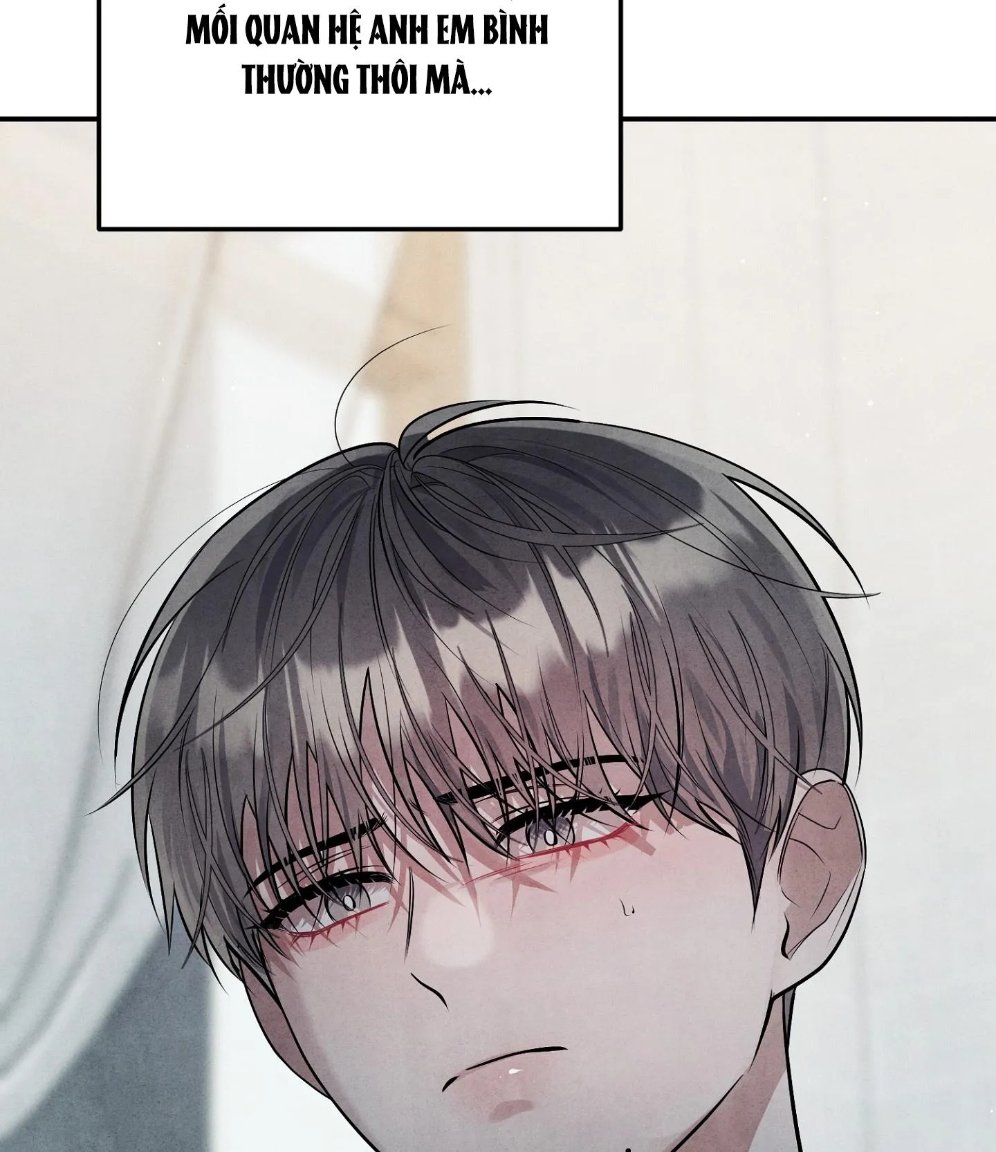 BÓNG TỐI KHÔNG TRỌN VẸN Chapter 11 Trang 44