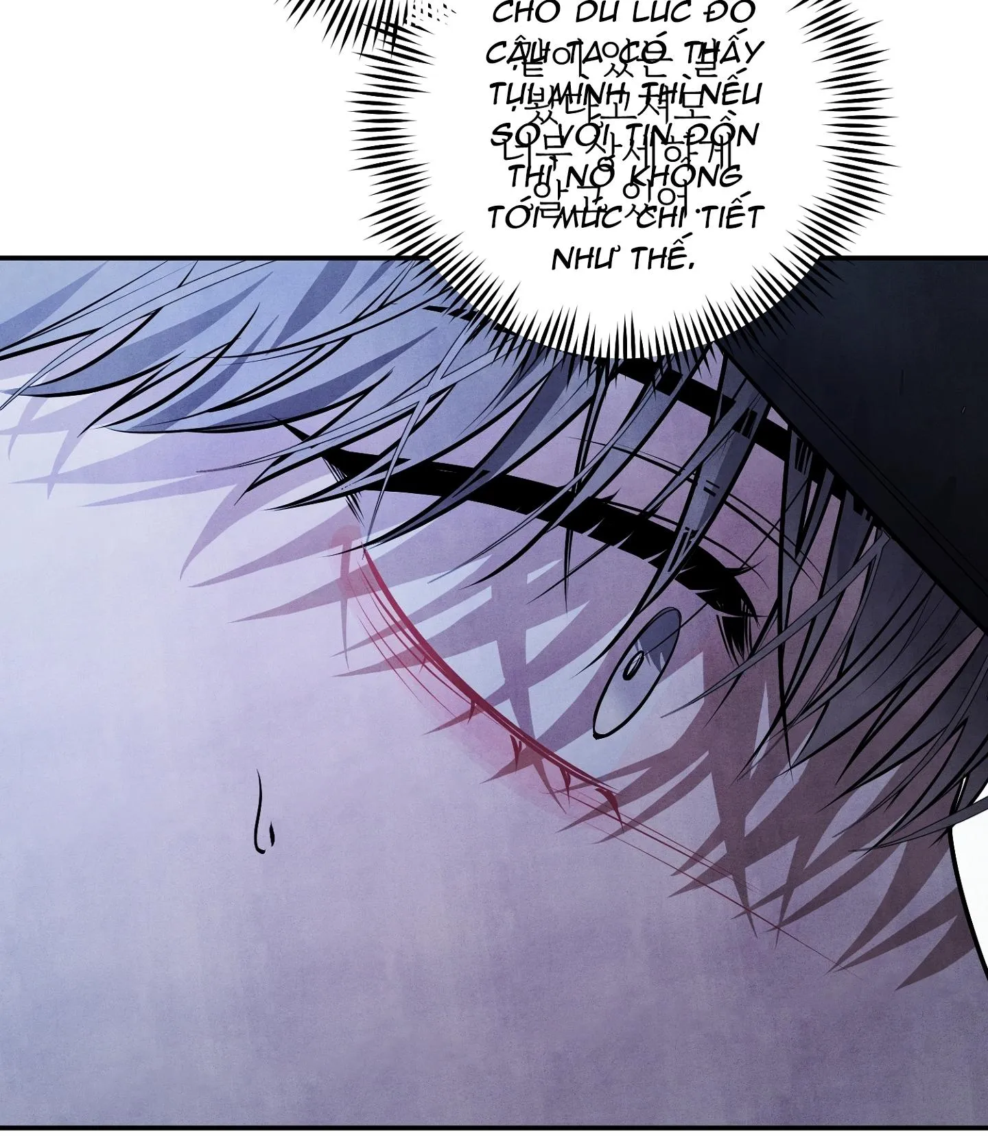 BÓNG TỐI KHÔNG TRỌN VẸN Chapter 12 Trang 14