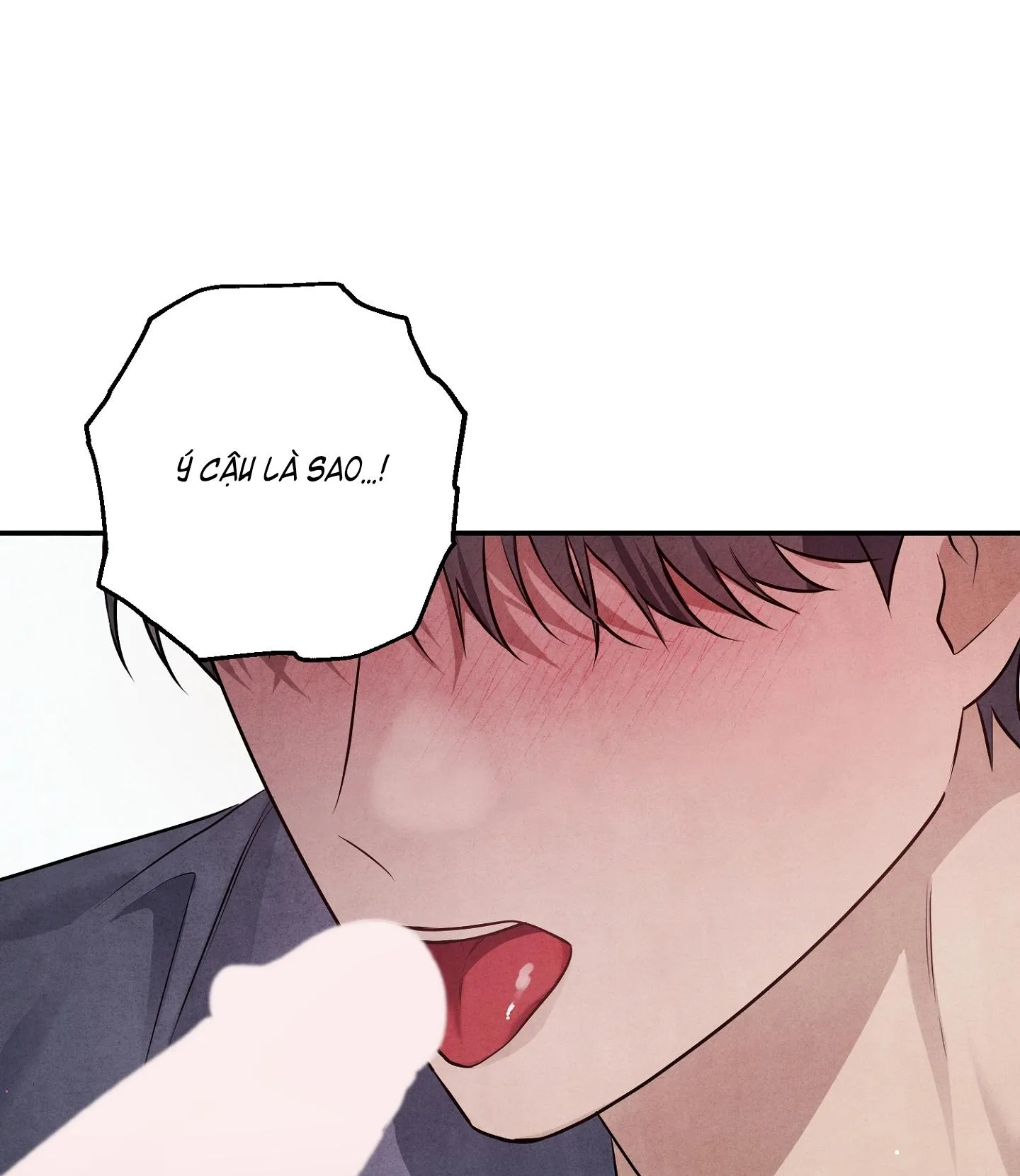 BÓNG TỐI KHÔNG TRỌN VẸN Chapter 12 Trang 99