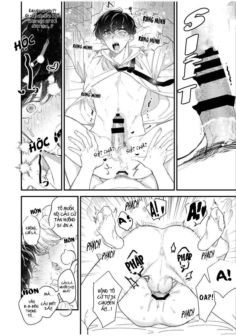 Boy x Boy Idol Collection Chapter 2 Trang 12