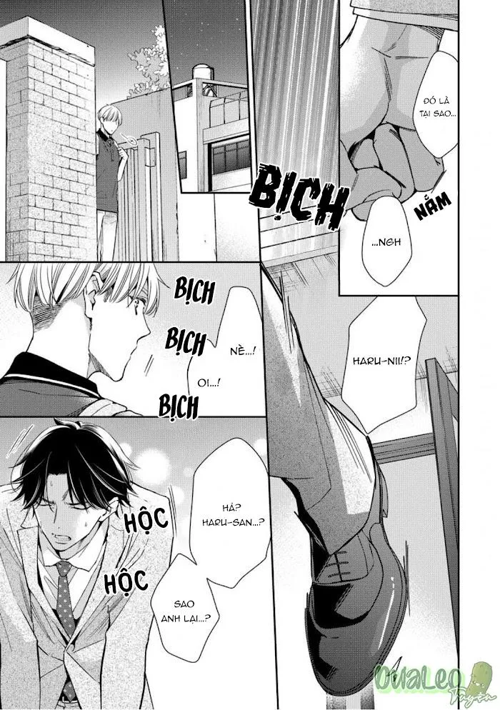 HÃY NHÌN TÔI NÀY TÊN CUỒNG EM TRAI Chapter 4 Trang 11