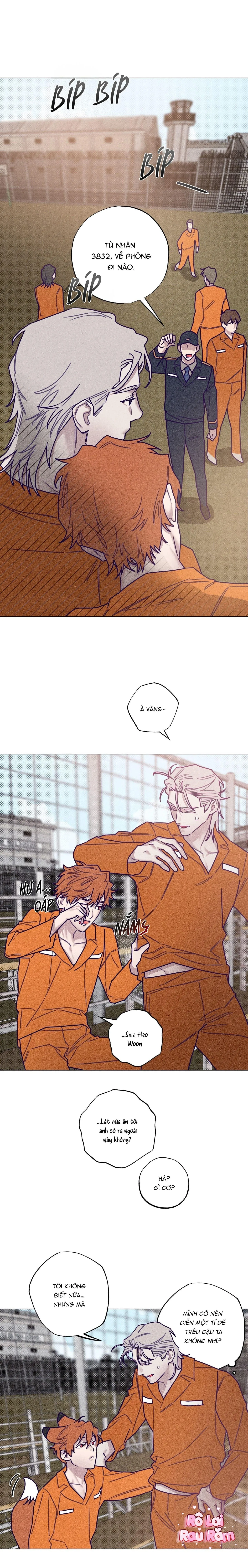 Bữa sáng trong tù Chapter 31 Trang 4