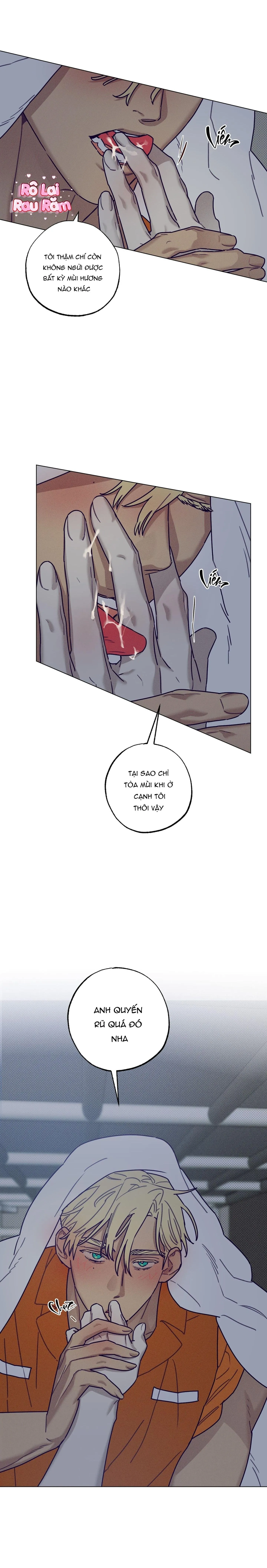 Bữa sáng trong tù Chapter 38 Trang 4