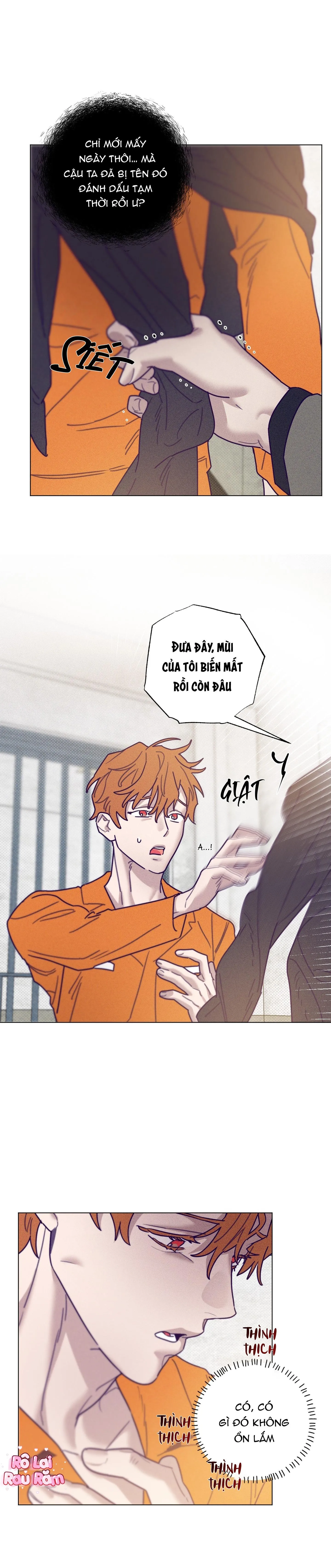 Bữa sáng trong tù Chapter 41 Trang 17