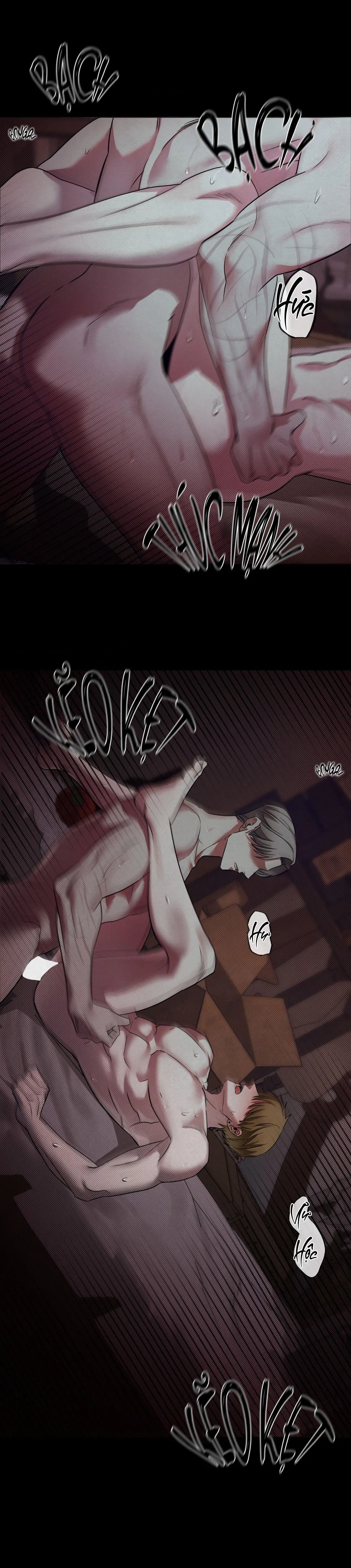 BỨC HỌA Chapter 1 Trang 3