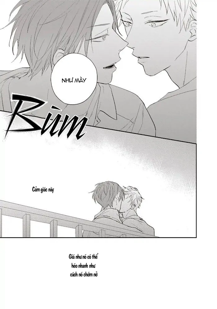 CHỒI NON GIỮA BẦU TRỜI XANH Chapter 1 Trang 31