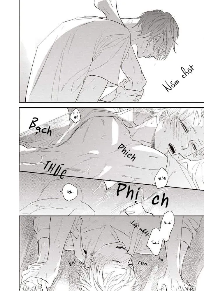 CHỒI NON GIỮA BẦU TRỜI XANH Chapter 3 Trang 27