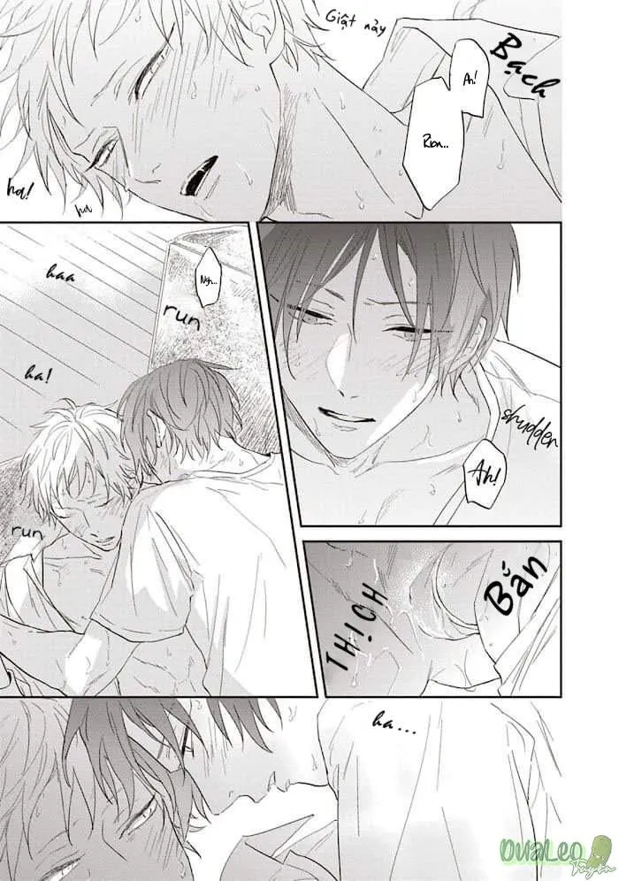 CHỒI NON GIỮA BẦU TRỜI XANH Chapter 3 Trang 28