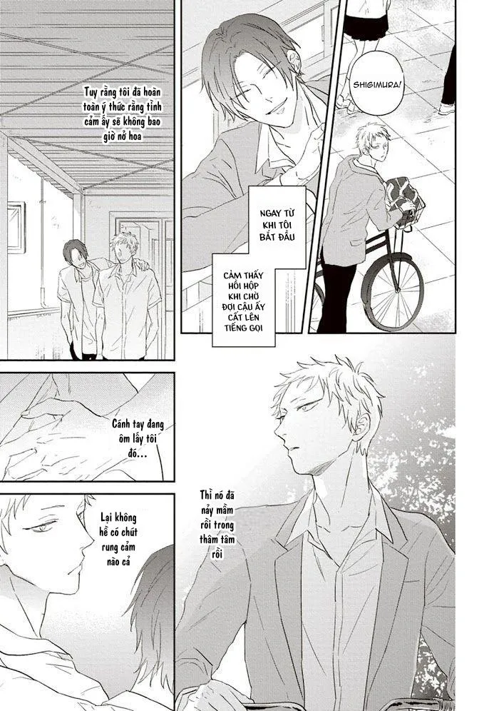 CHỒI NON GIỮA BẦU TRỜI XANH Chapter 4 Trang 11