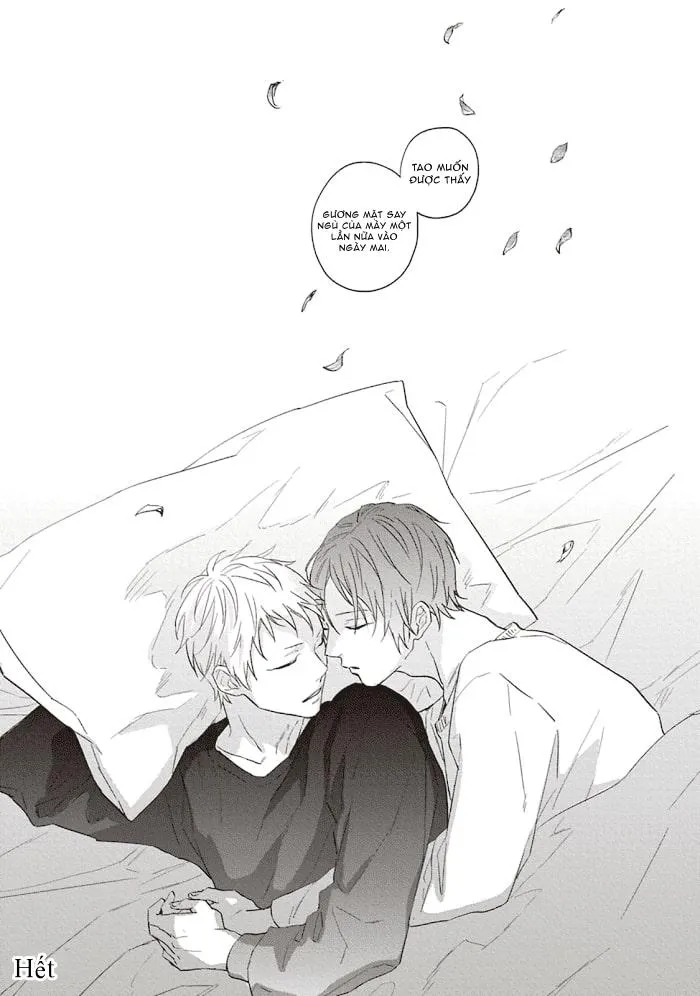 CHỒI NON GIỮA BẦU TRỜI XANH Chapter 5 Trang 26