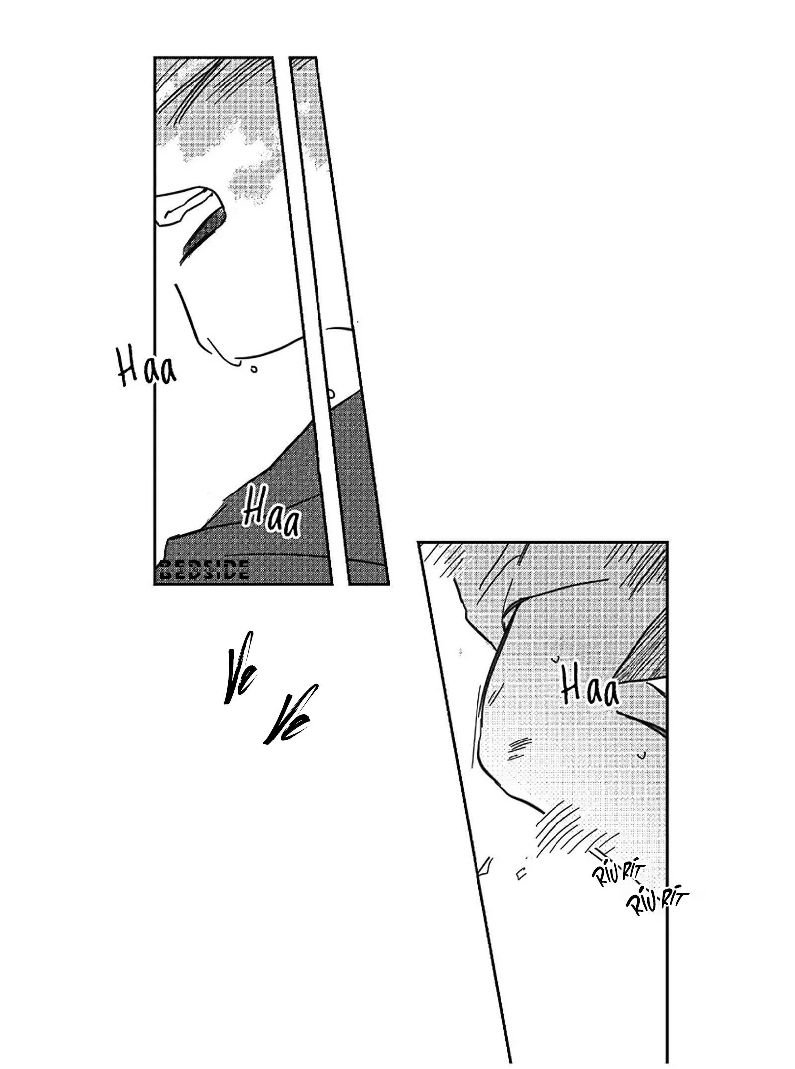 Bước Cuối Trên Lối Về Chapter 0 Trang 4