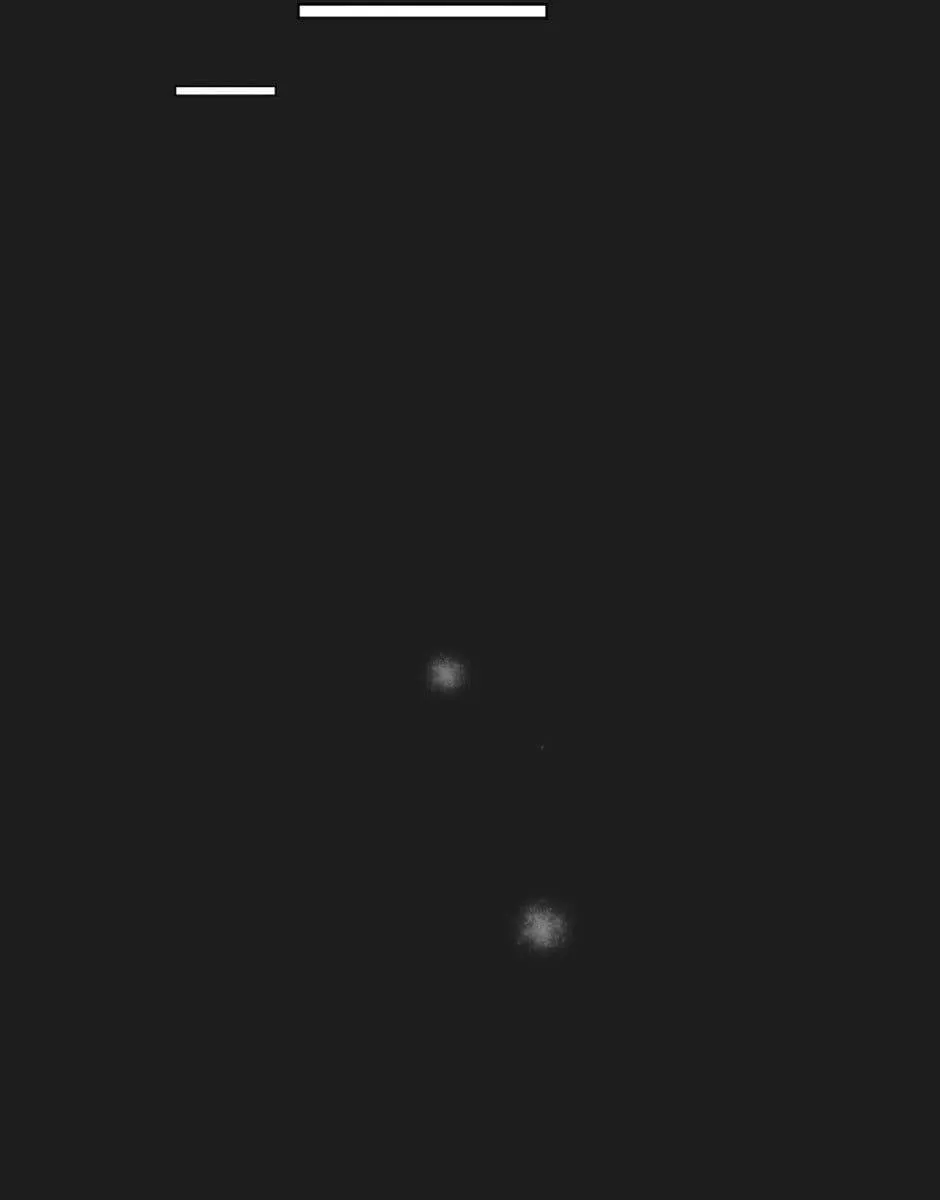 Bước Đến Bên Anh Chapter 22 Trang 22