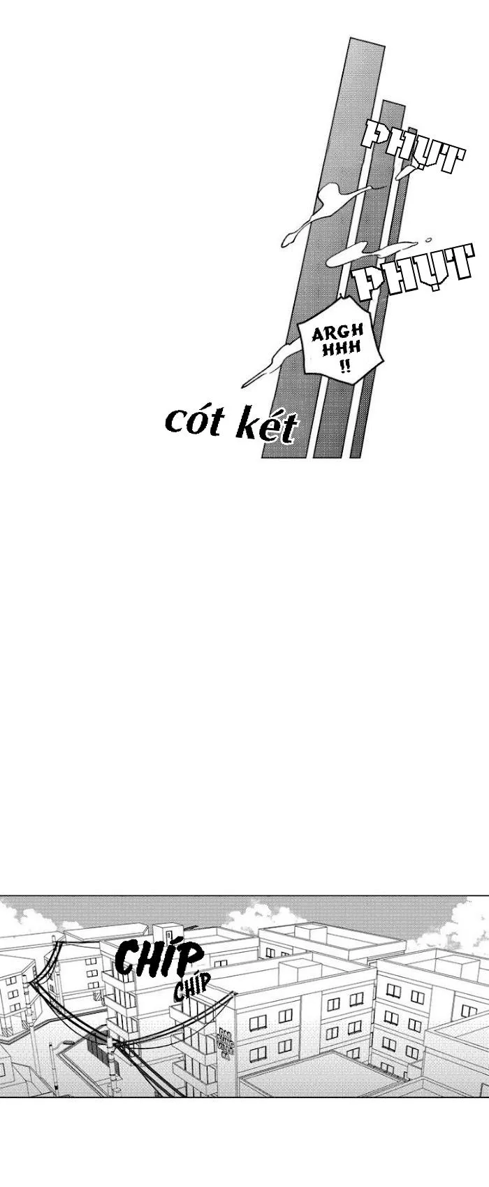 Bước Tiếp Theo Chapter 1 Trang 33