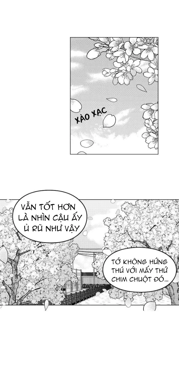 Bước Tiếp Theo Chapter 10 Trang 7