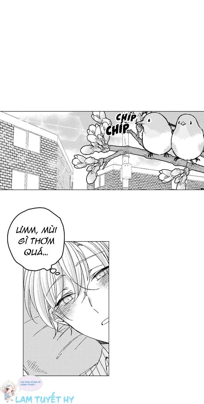 Bước Tiếp Theo Chapter 11 Trang 18
