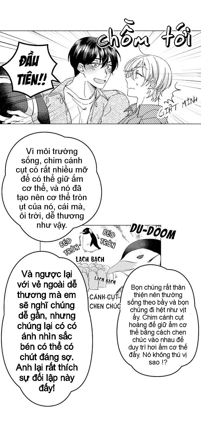 Bước Tiếp Theo Chapter 12 Trang 5