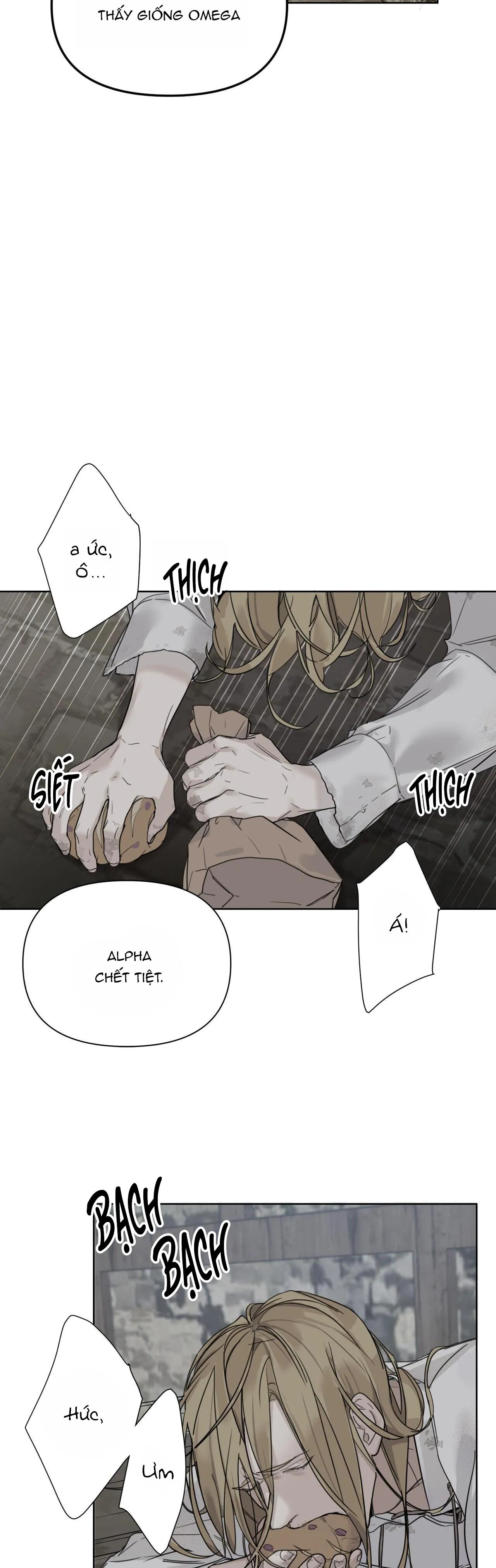 BƯỚC VÀO VƯỜN HỒNG Chapter 1 Trang 3