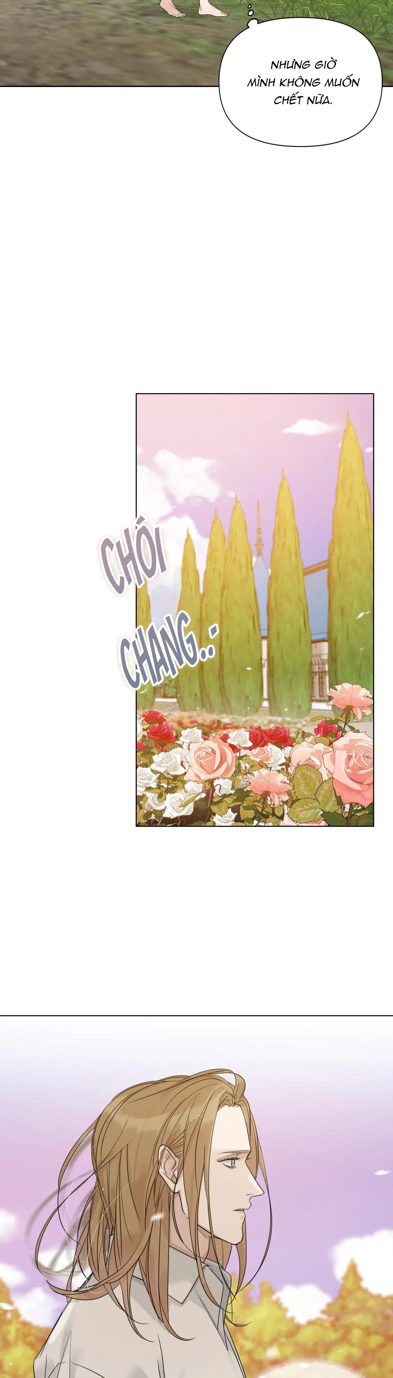 BƯỚC VÀO VƯỜN HỒNG Chapter 16 Trang 39