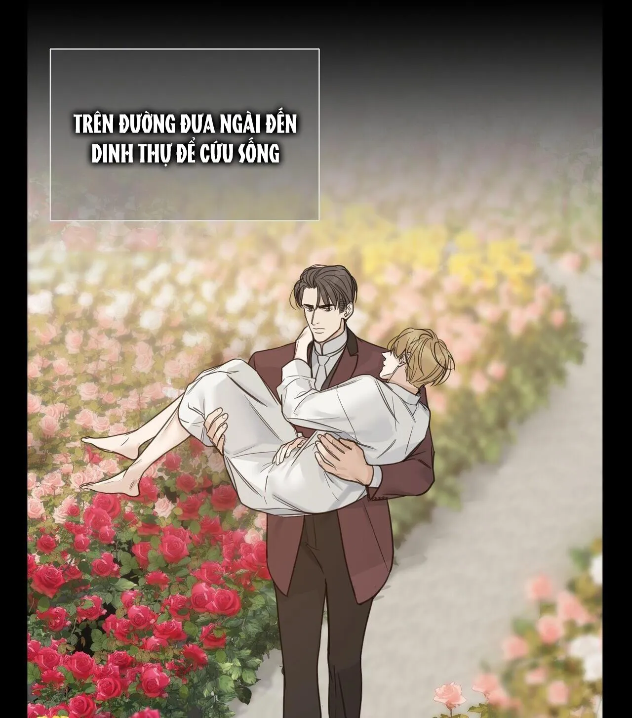 BƯỚC VÀO VƯỜN HỒNG Chapter 21 Trang 12