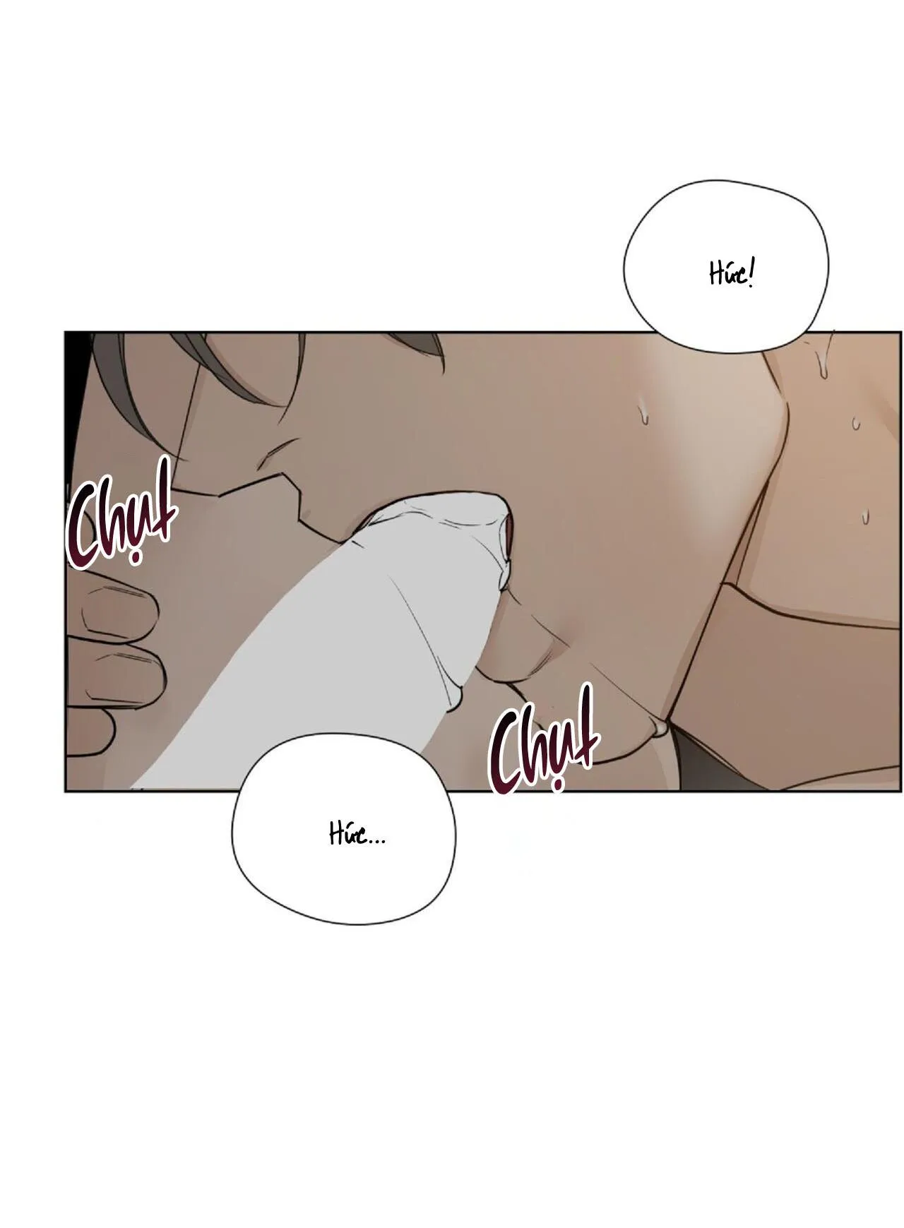 BƯỚC VÀO VƯỜN HỒNG Chapter 22 Trang 8