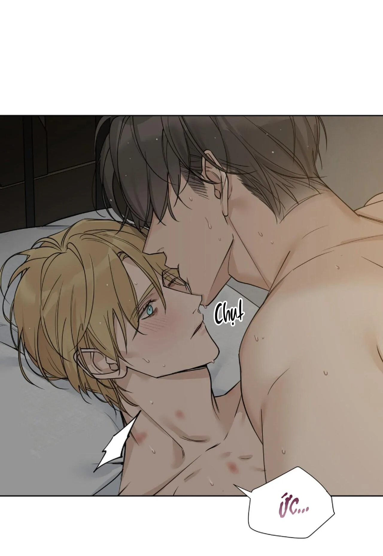 BƯỚC VÀO VƯỜN HỒNG Chapter 22 Trang 15