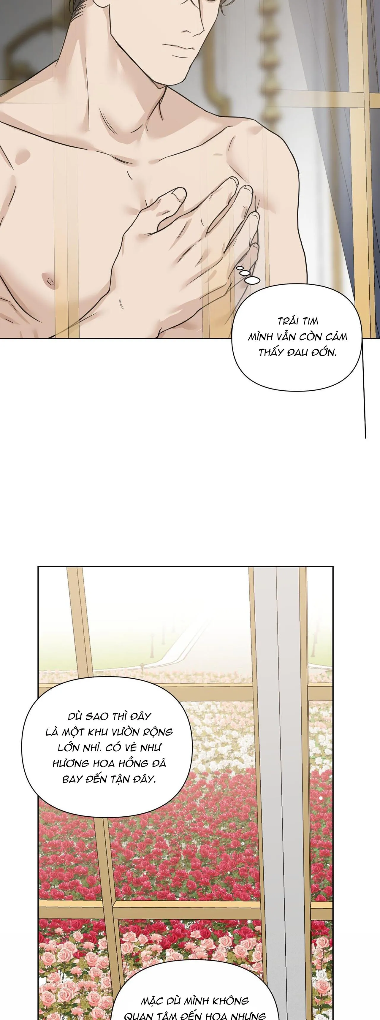 BƯỚC VÀO VƯỜN HỒNG Chapter 28 Trang 20