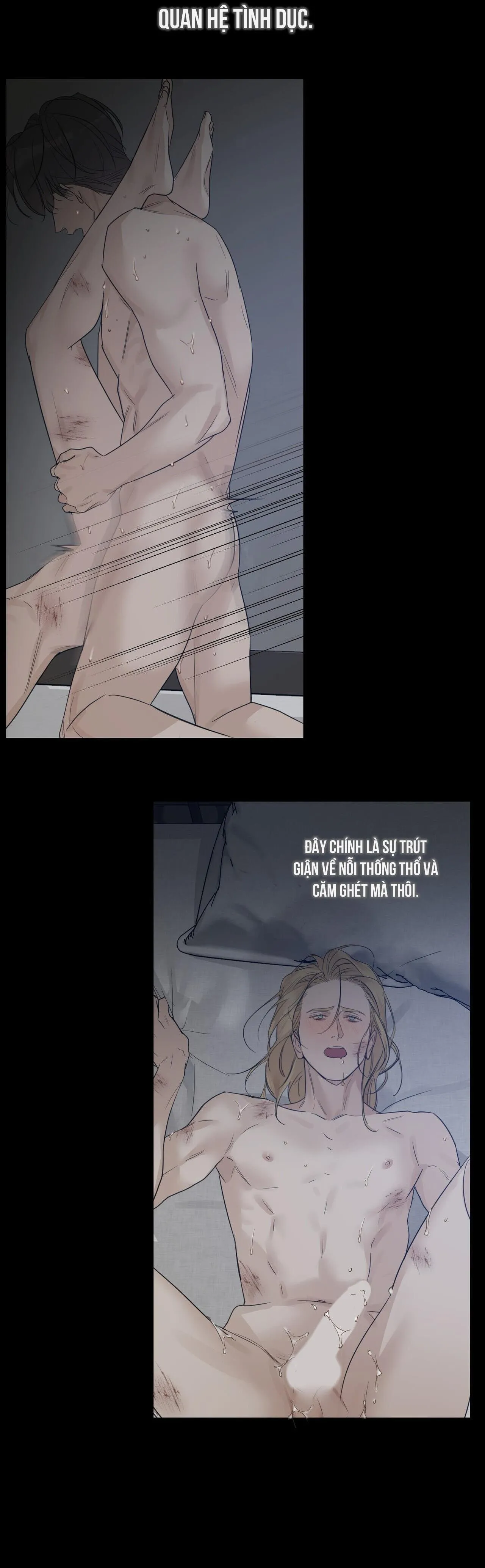 BƯỚC VÀO VƯỜN HỒNG Chapter 41 Trang 8