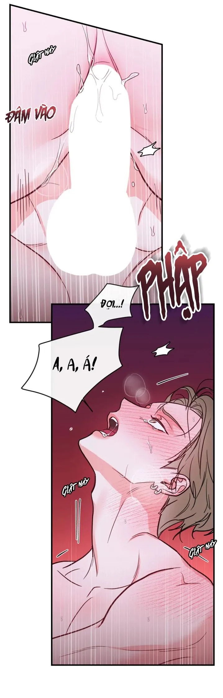 Buổi phát sóng trực tiếp dâm đãng của tên họ KANG Chapter 3 Trang 39