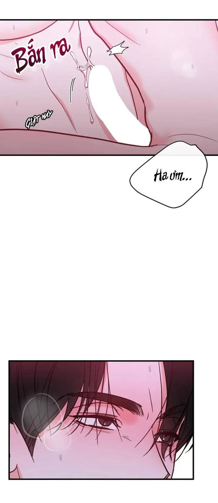 Buổi phát sóng trực tiếp dâm đãng của tên họ KANG Chapter 3 Trang 41