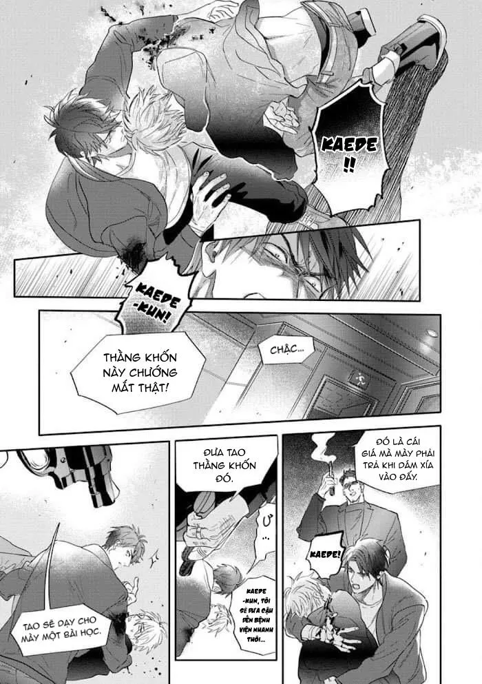 Burlesque Night Chapter 2 Trang 7