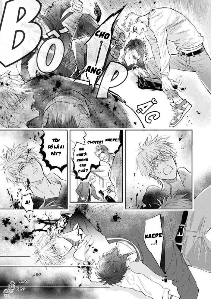 Burlesque Night Chapter 2 Trang 9