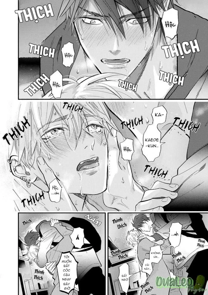 Burlesque Night Chapter 4 Trang 4