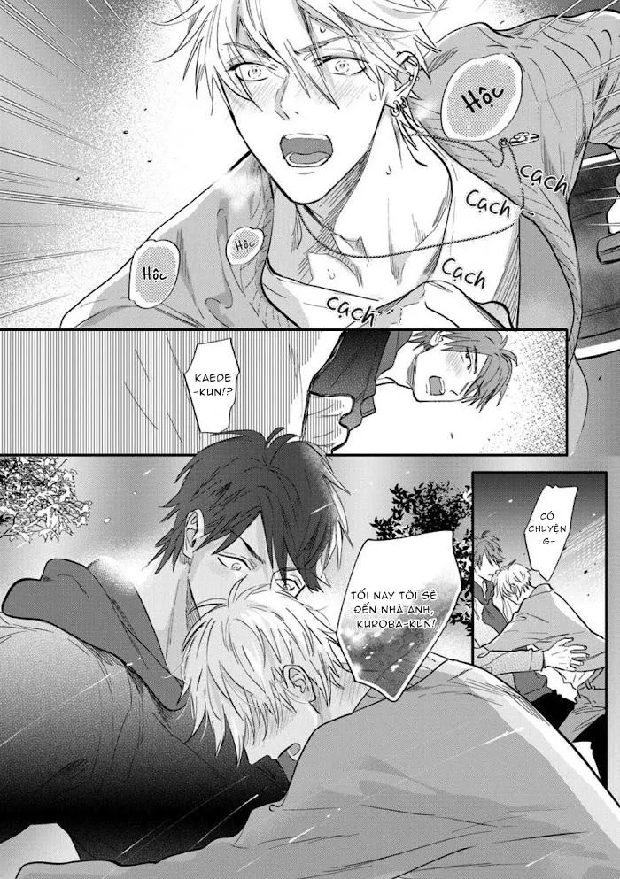 Burlesque Night Chapter 4 Trang 8