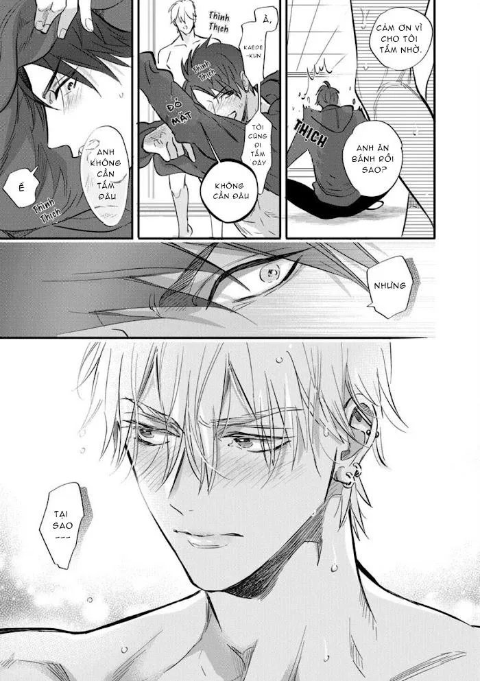 Burlesque Night Chapter 4 Trang 15