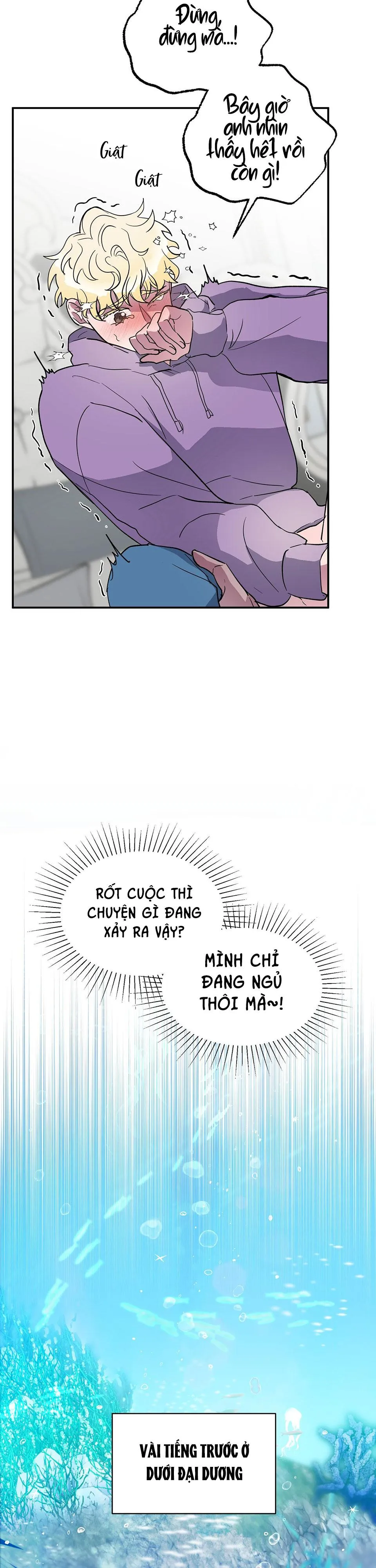 CÁ MẬP VÀ CÔ DÂU THỎ Chapter 1 Trang 8