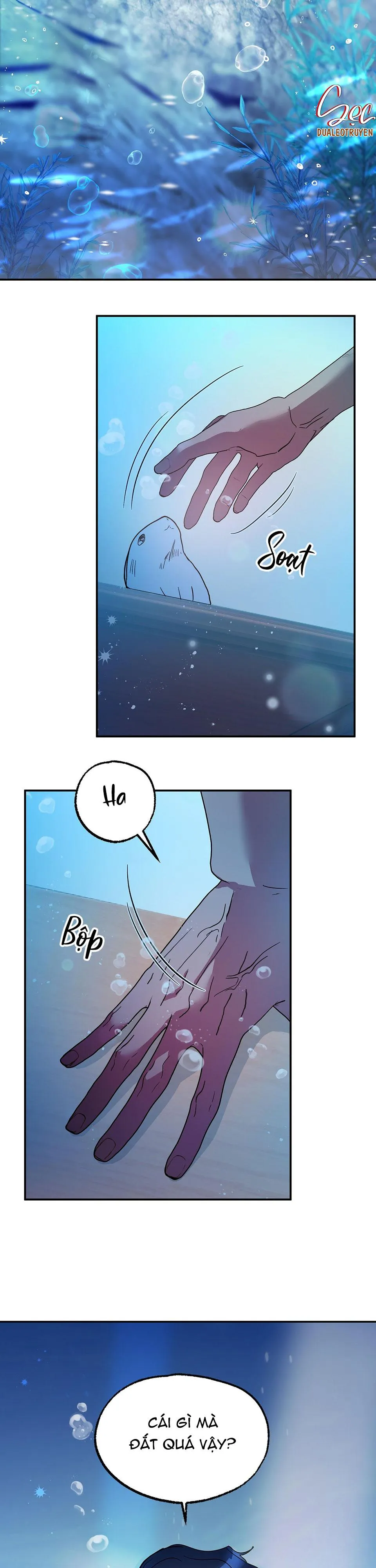 CÁ MẬP VÀ CÔ DÂU THỎ Chapter 1 Trang 9