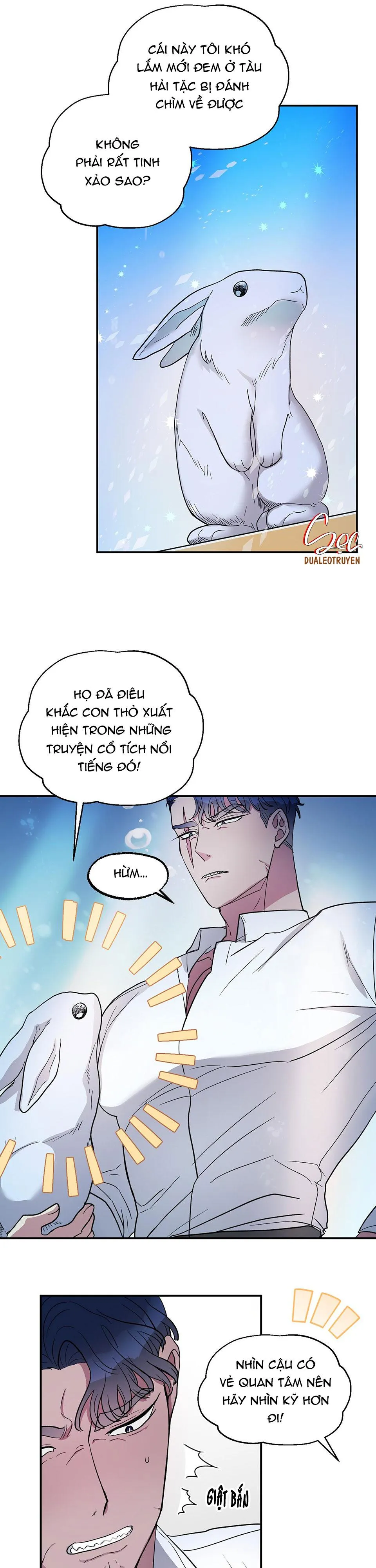 CÁ MẬP VÀ CÔ DÂU THỎ Chapter 1 Trang 11