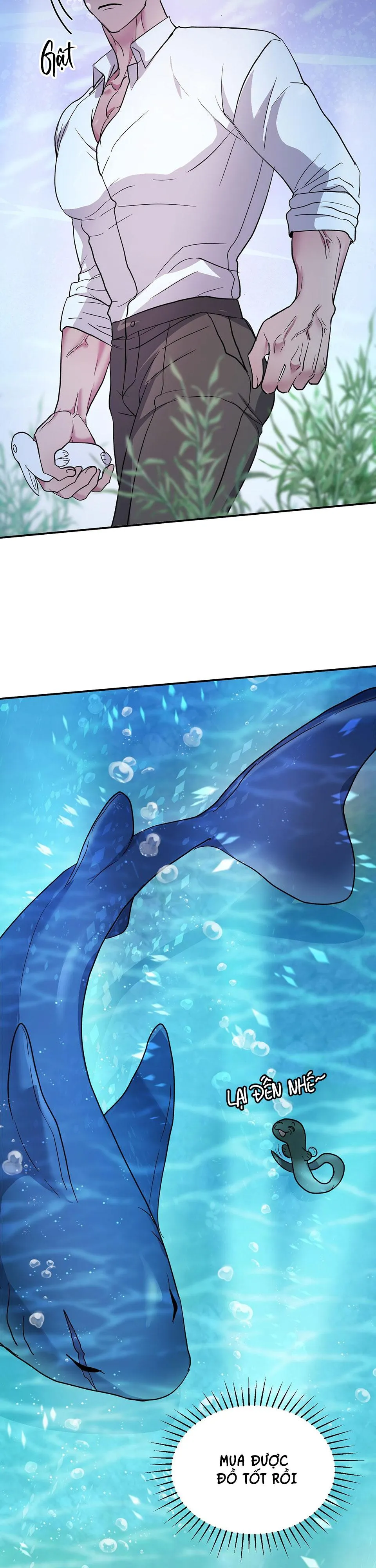 CÁ MẬP VÀ CÔ DÂU THỎ Chapter 1 Trang 16